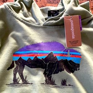 Boys Patagonia Large Hoodie